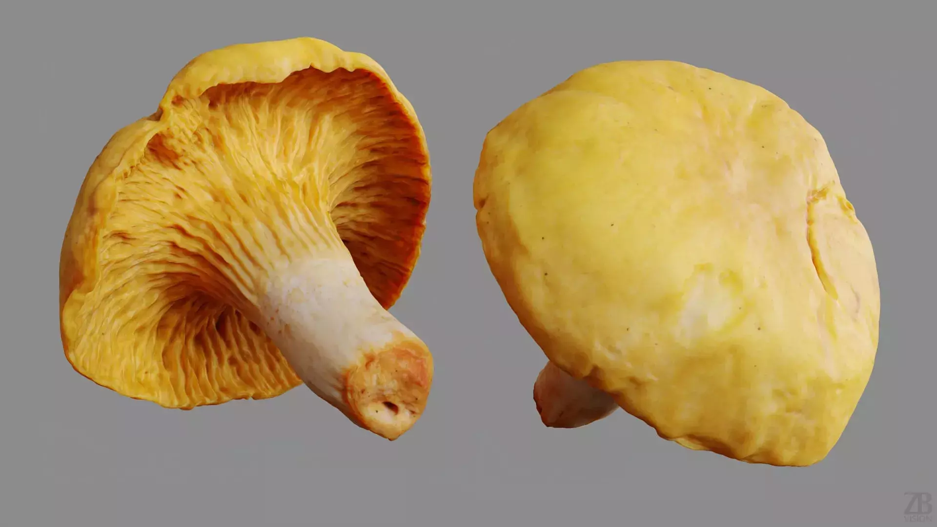 Mushroom 3D model_8