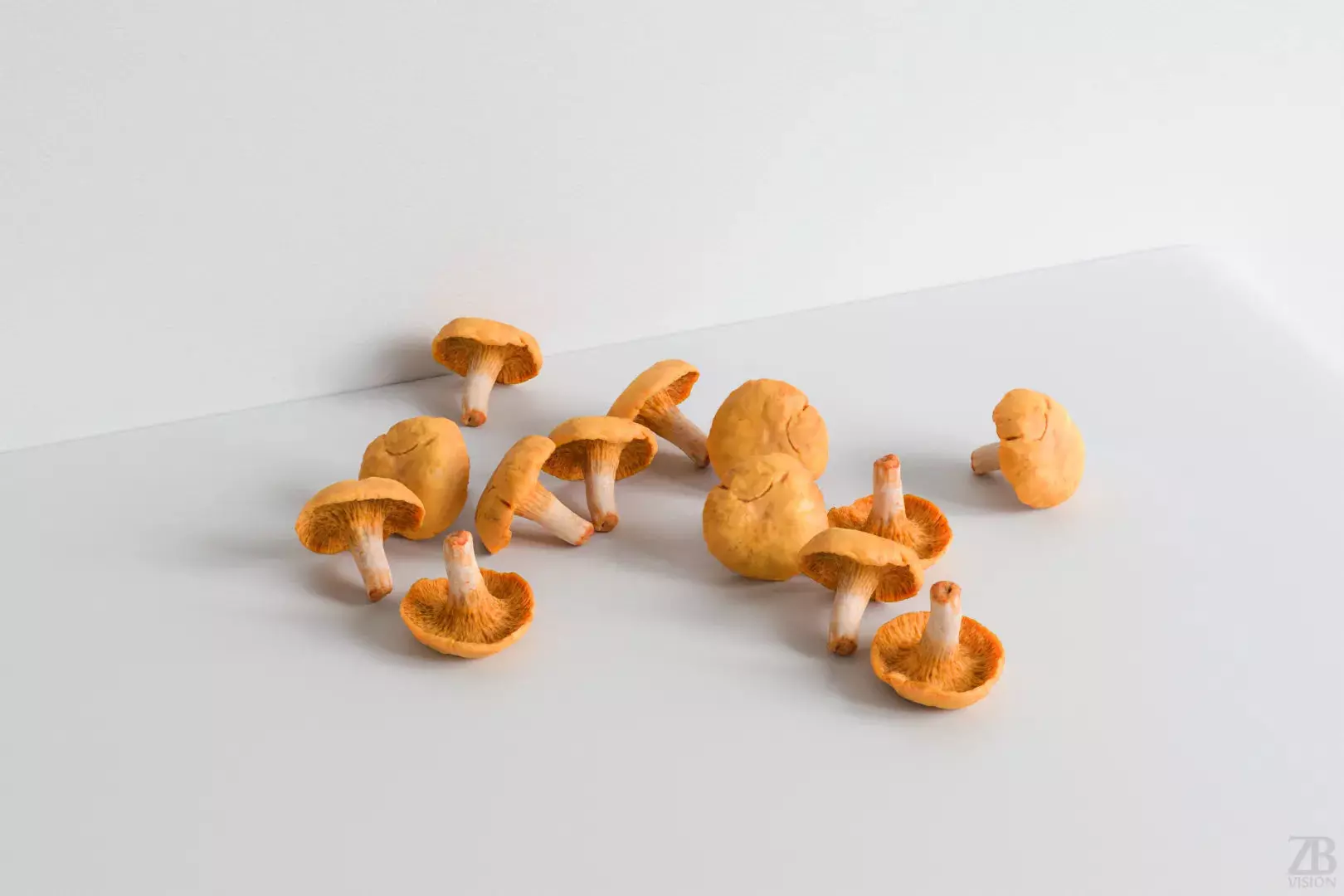 Mushroom 3D model_0