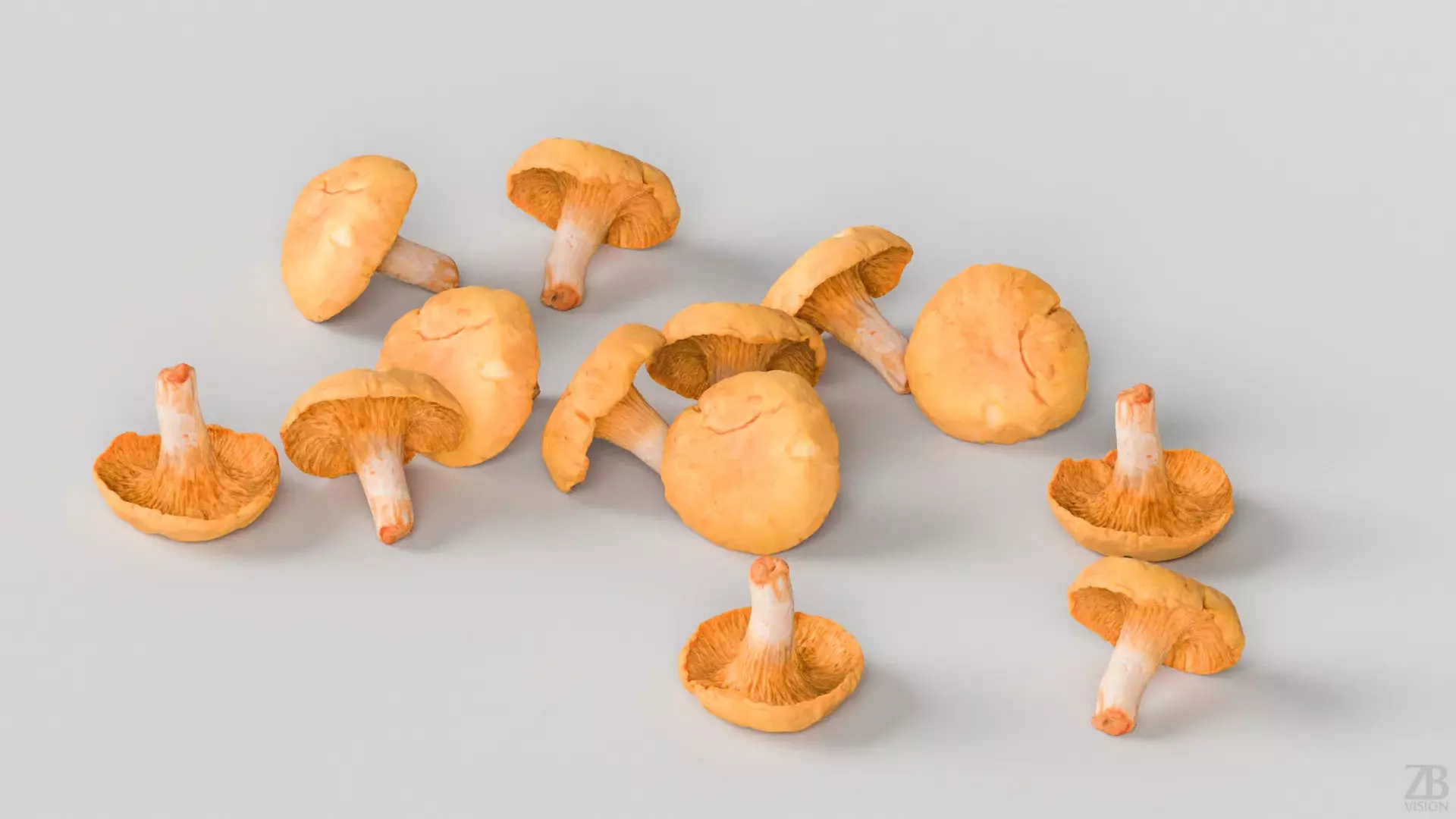 Mushroom 3D model_2