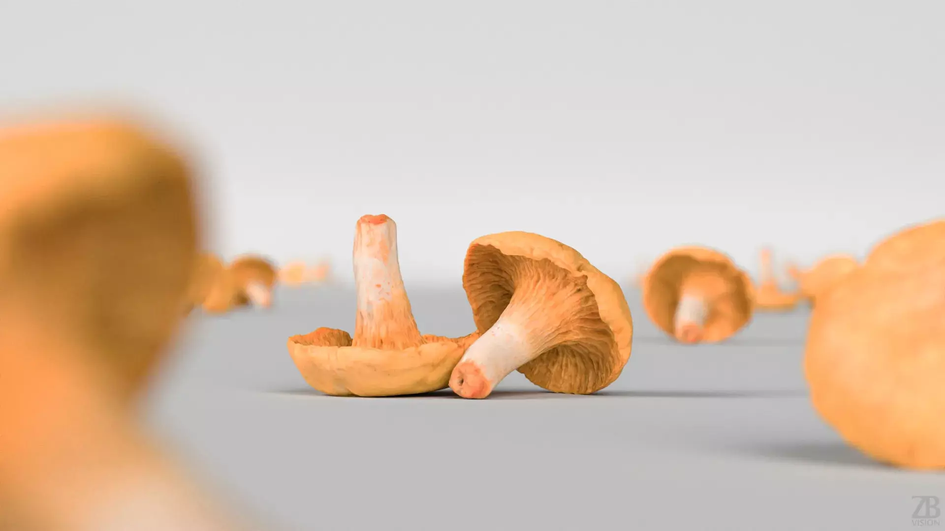 Mushroom 3D model_1