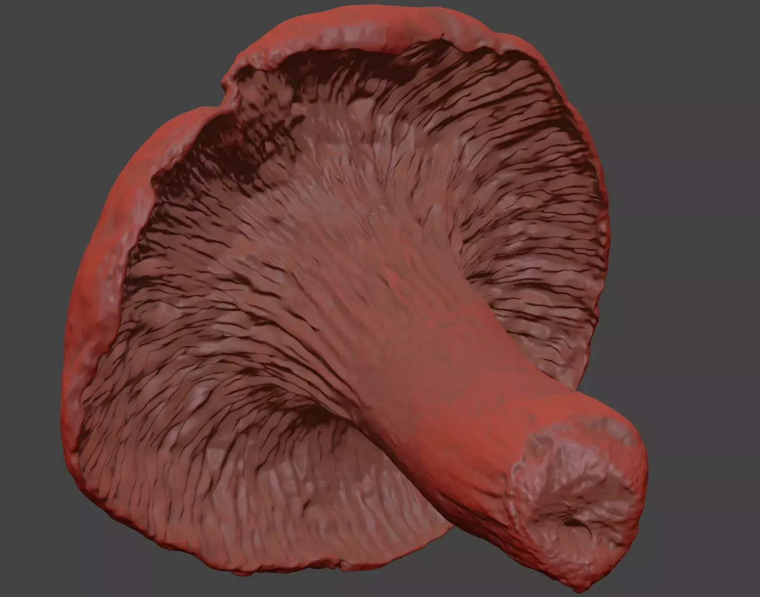 Mushroom 3D model_7