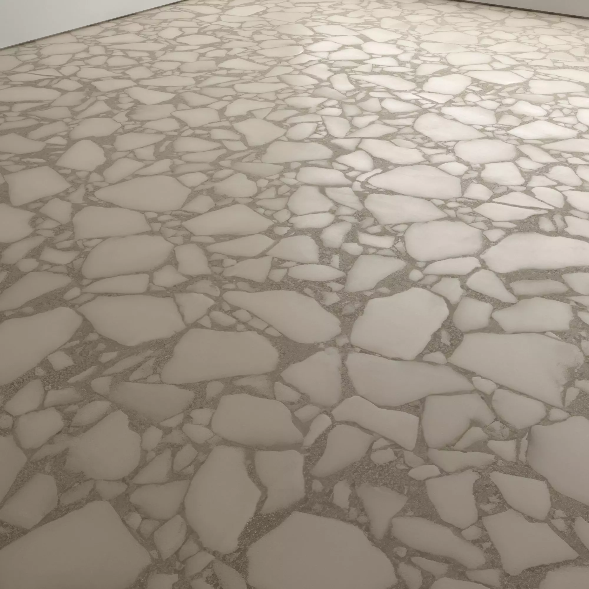 Terrazzo Stone Floor 05 Texture_5