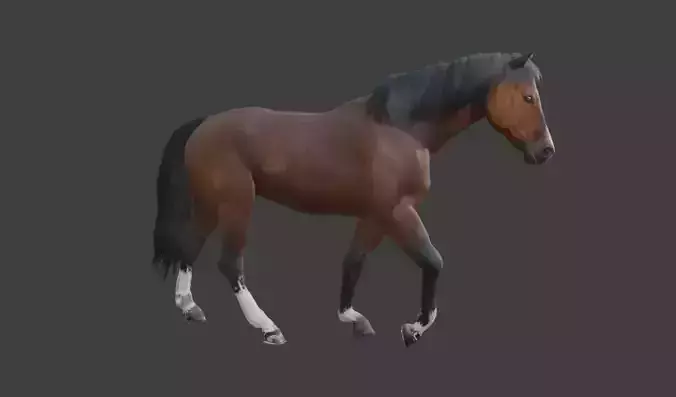 Animated Brown Horse  3D model