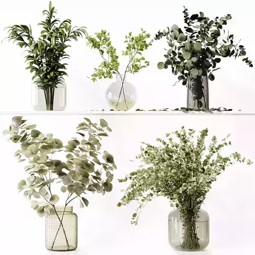 Collection Indoor Plants 059