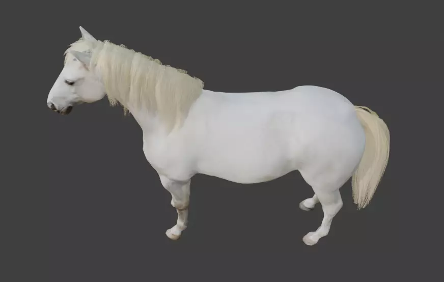 Animated White Horse 3D model_7
