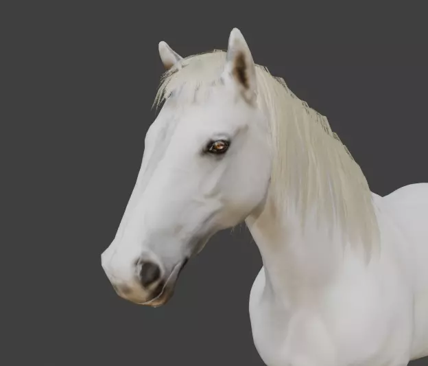 Animated White Horse 3D model_6