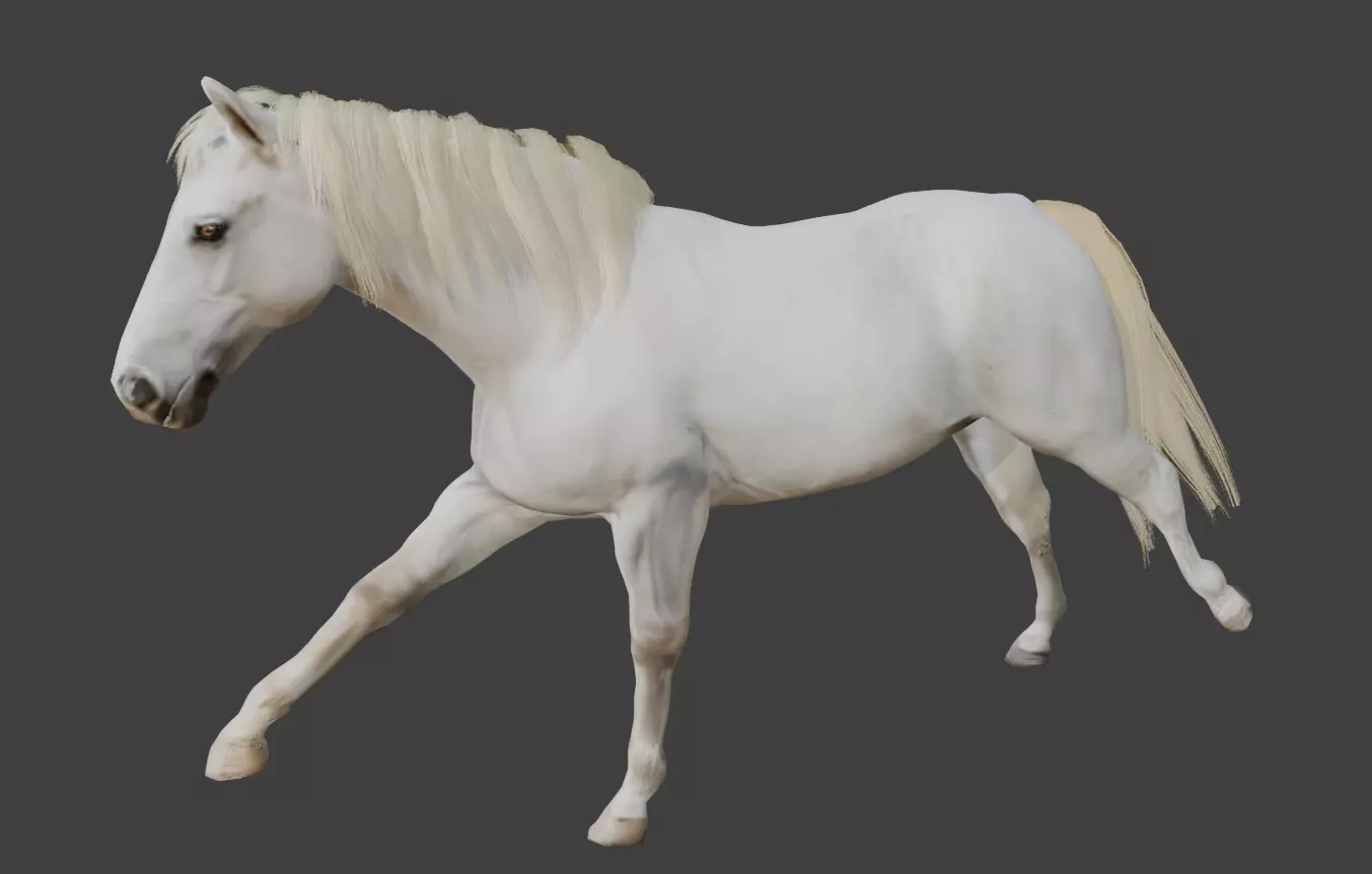Animated White Horse 3D model_2