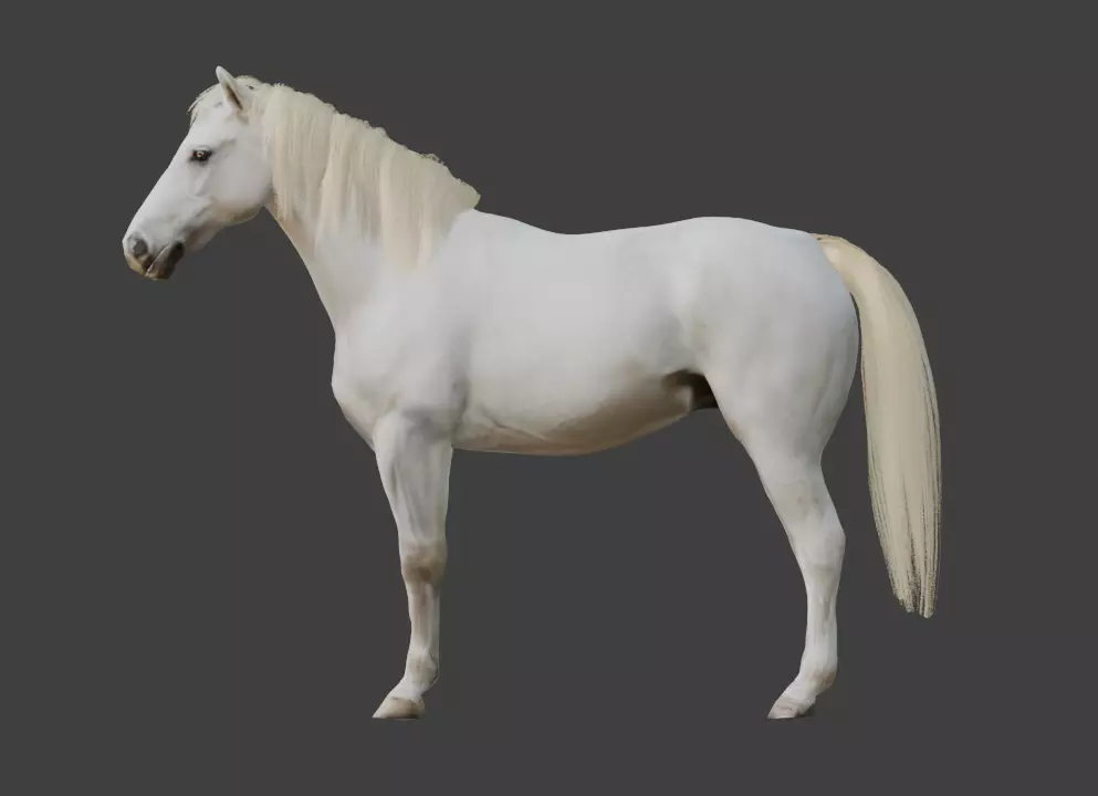 Animated White Horse 3D model_5