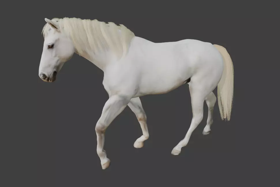 Animated White Horse 3D model_0