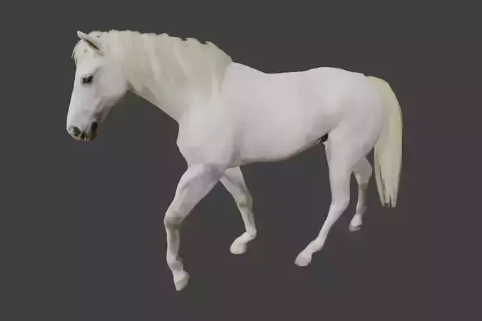 Animated White Horse 3D model