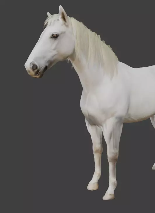 Animated White Horse 3D model_8