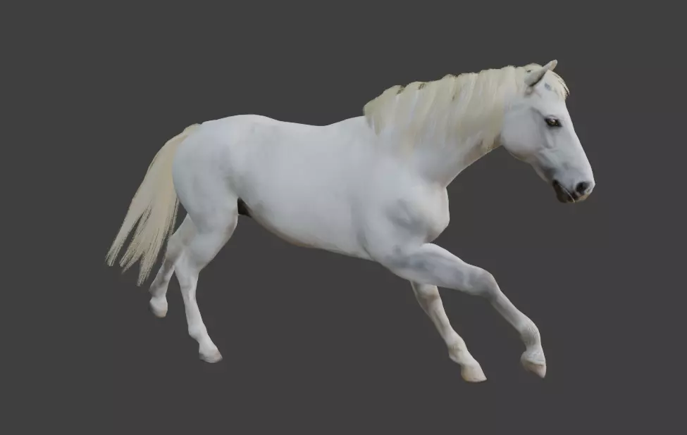 Animated White Horse 3D model_4