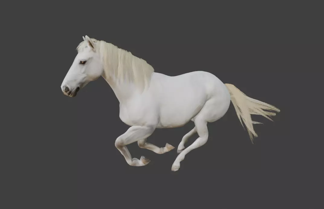 Animated White Horse 3D model_3