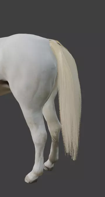Animated White Horse 3D model_9