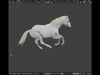 Animated White Horse 3D model_1