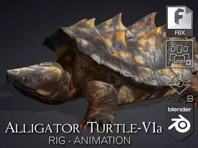 Alligator Turtle-V1a 3D model