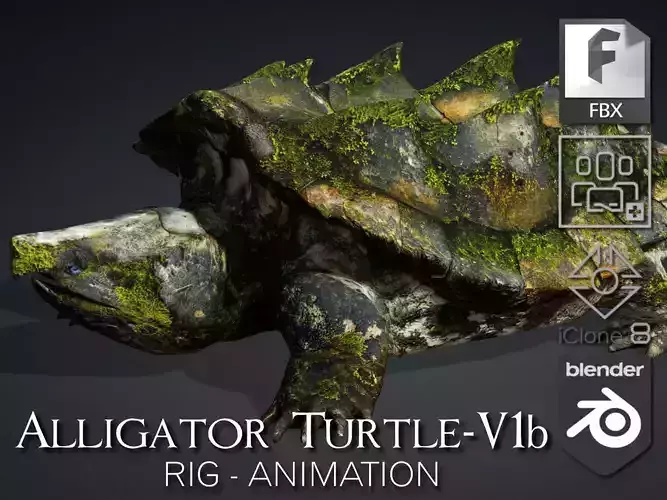 Alligator Turtle-V1b 3D model