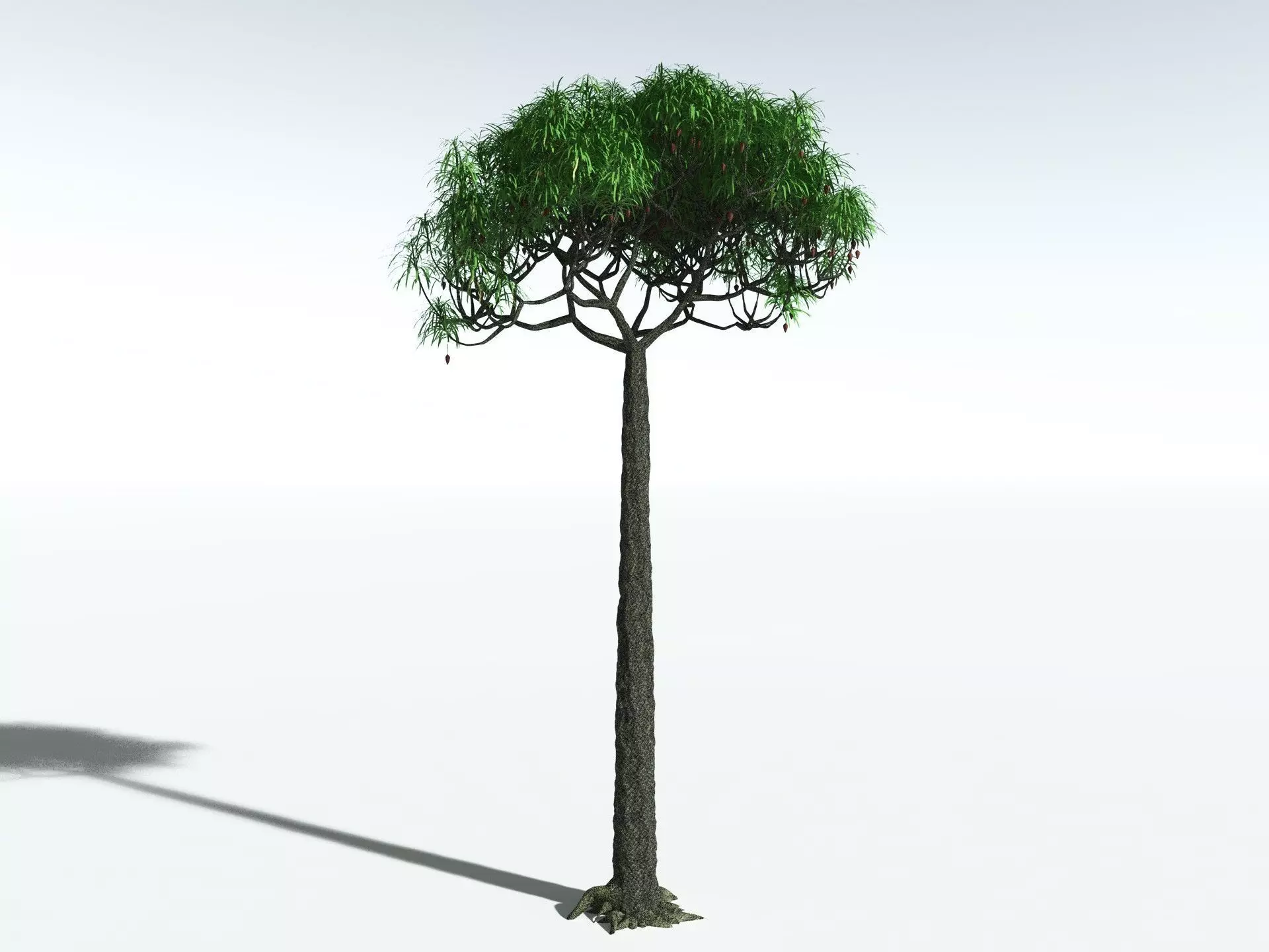 EVERYPlant Lepidodendron Aculeatum 3D model_8