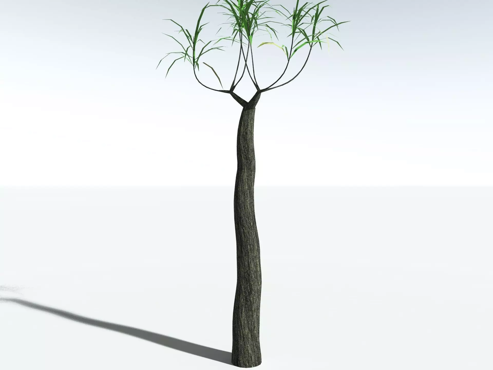 EVERYPlant Lepidodendron Aculeatum 3D model_27