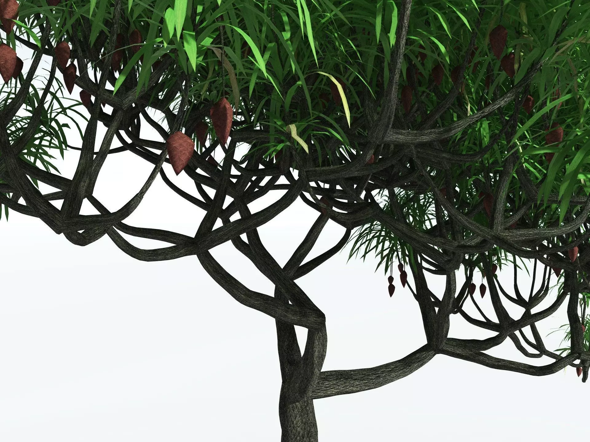 EVERYPlant Lepidodendron Aculeatum 3D model_5