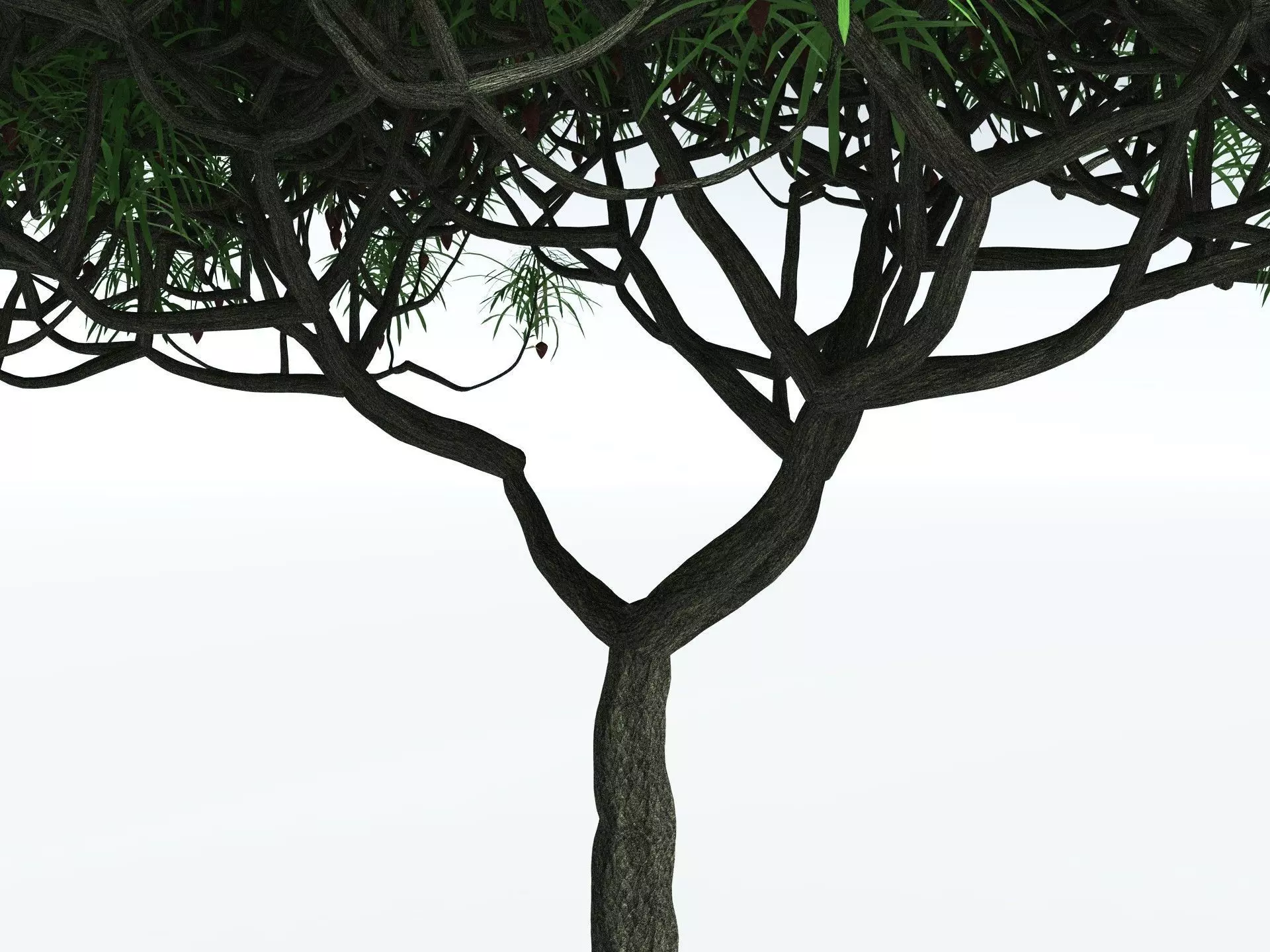 EVERYPlant Lepidodendron Aculeatum 3D model_21