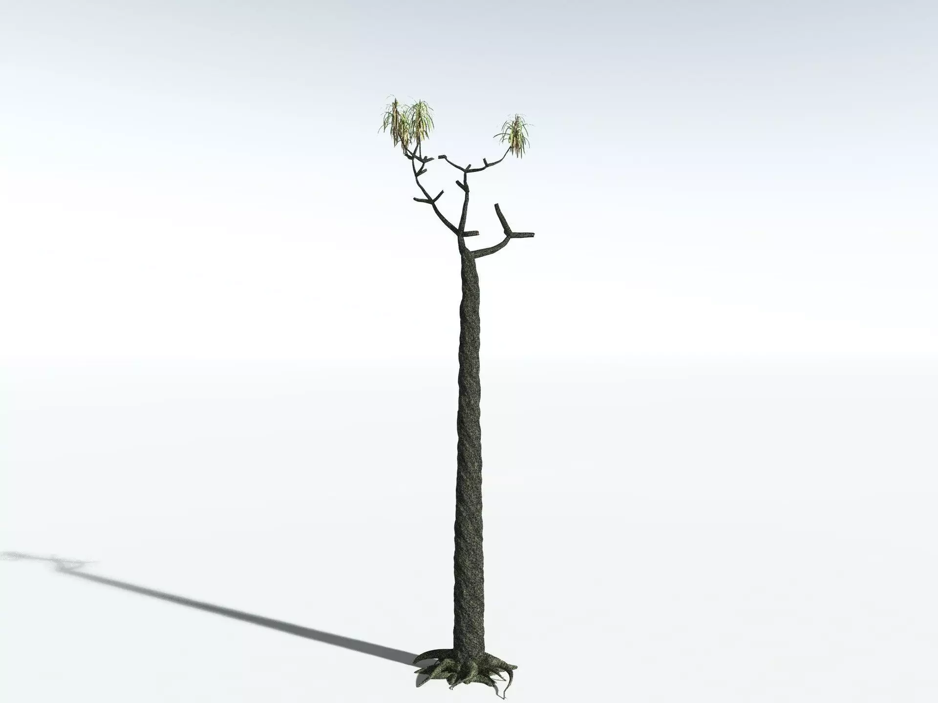 EVERYPlant Lepidodendron Aculeatum 3D model_16