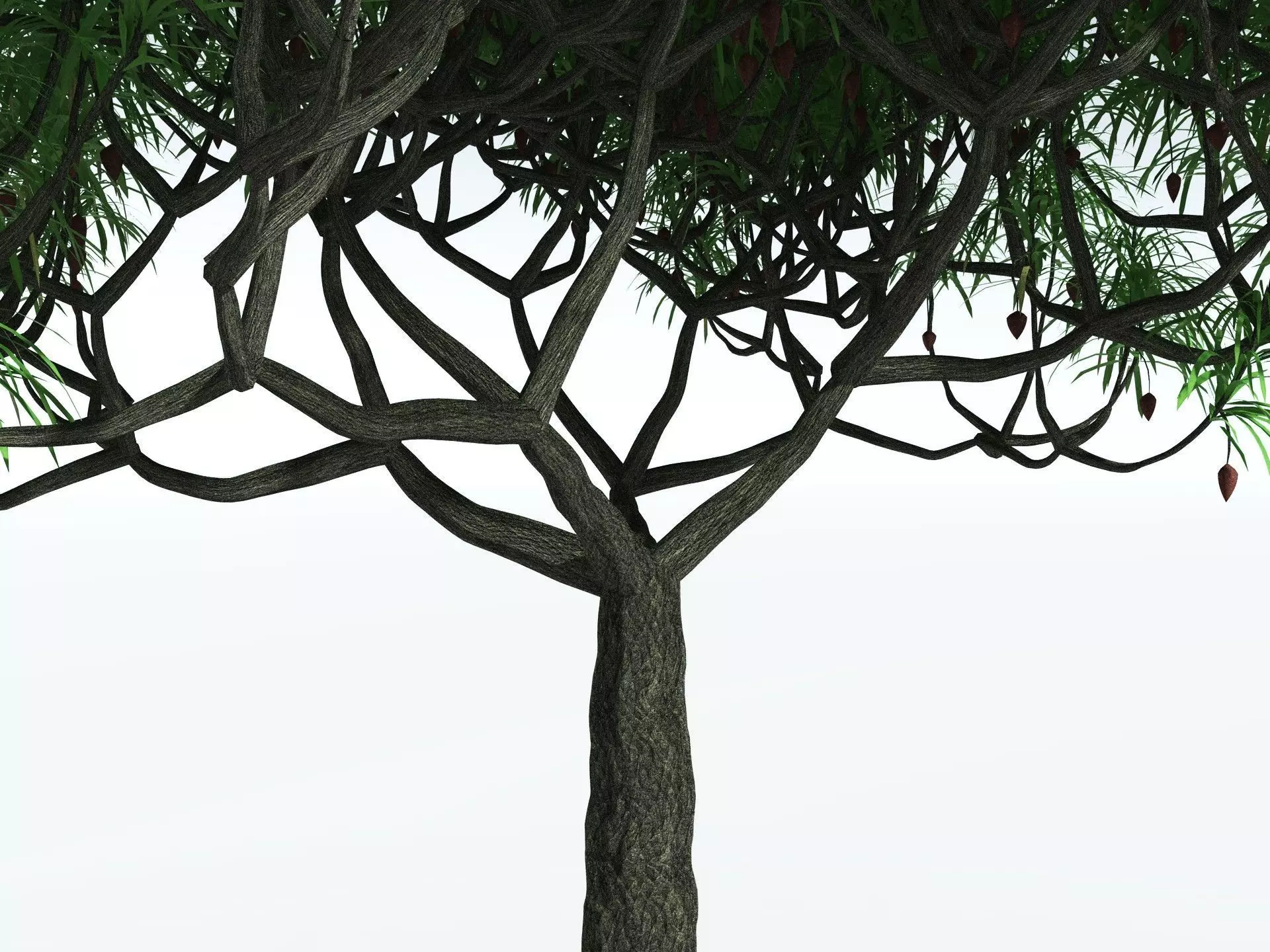 EVERYPlant Lepidodendron Aculeatum 3D model_9