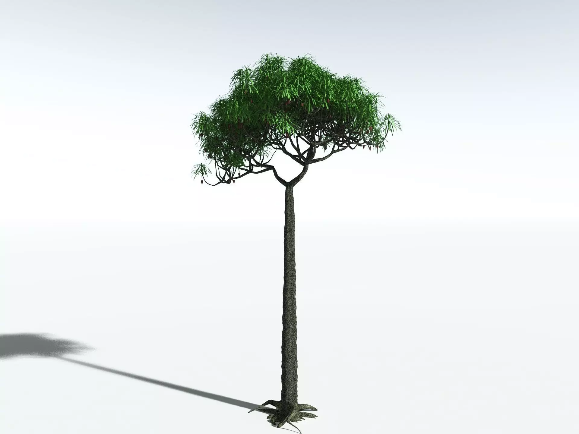 EVERYPlant Lepidodendron Aculeatum 3D model_10