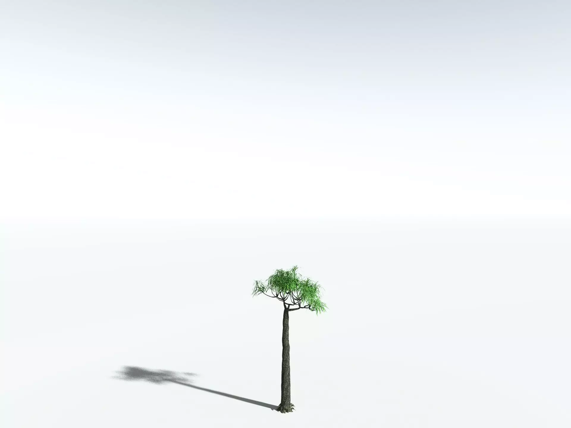 EVERYPlant Lepidodendron Aculeatum 3D model_24
