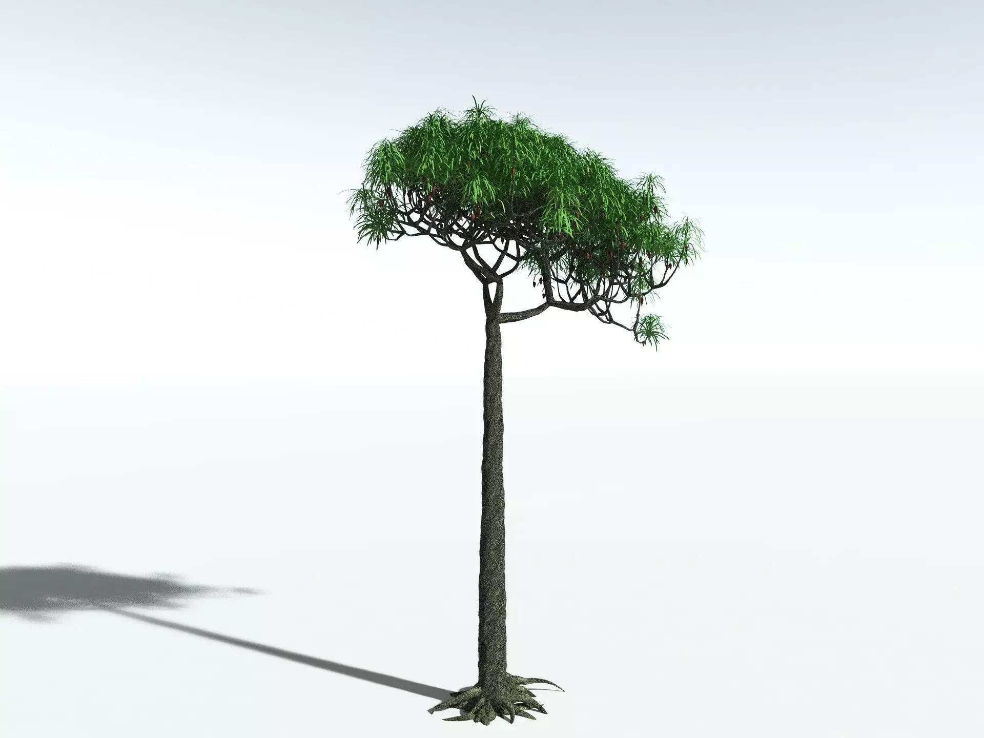 EVERYPlant Lepidodendron Aculeatum 3D model_4