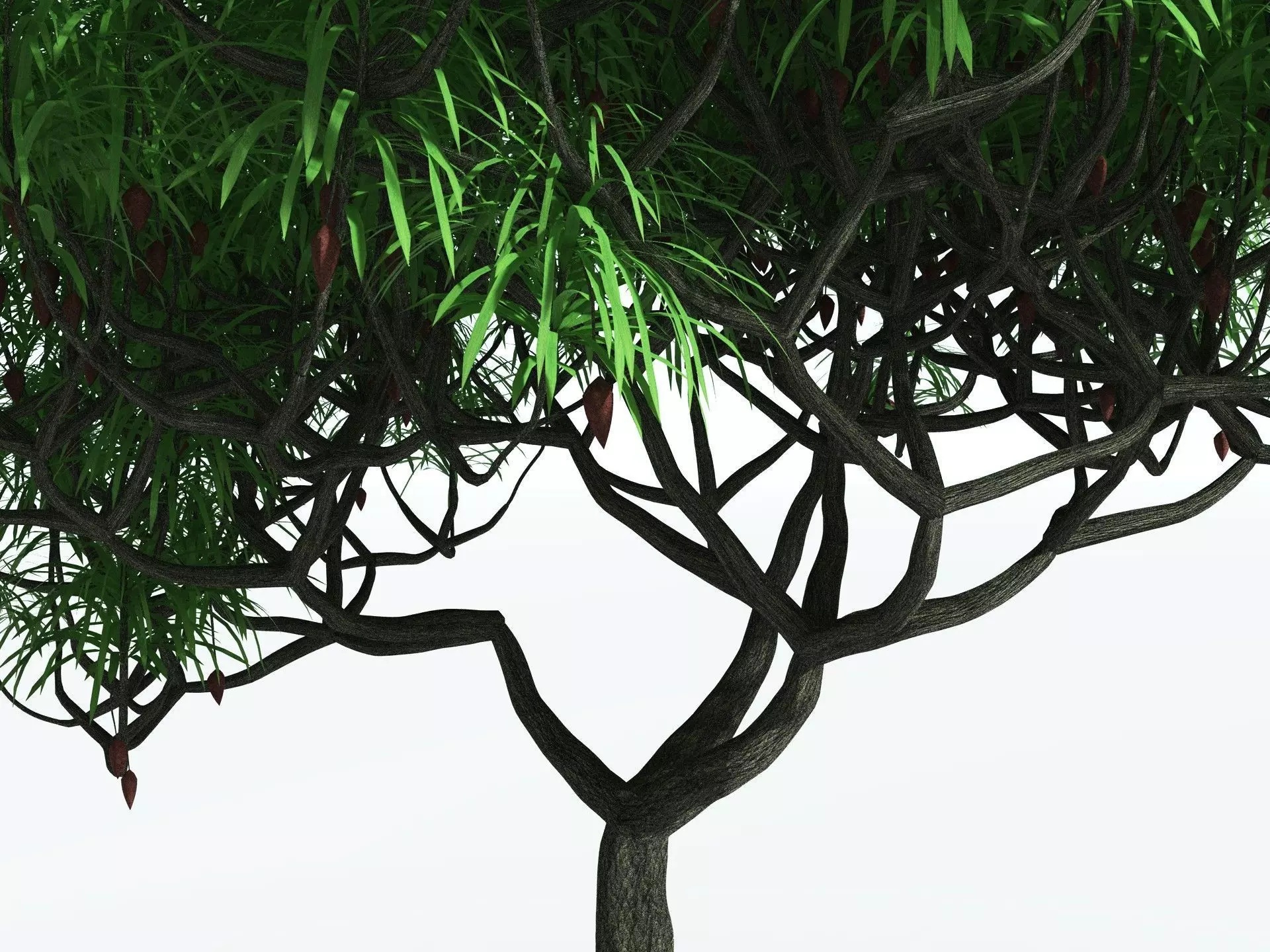 EVERYPlant Lepidodendron Aculeatum 3D model_11