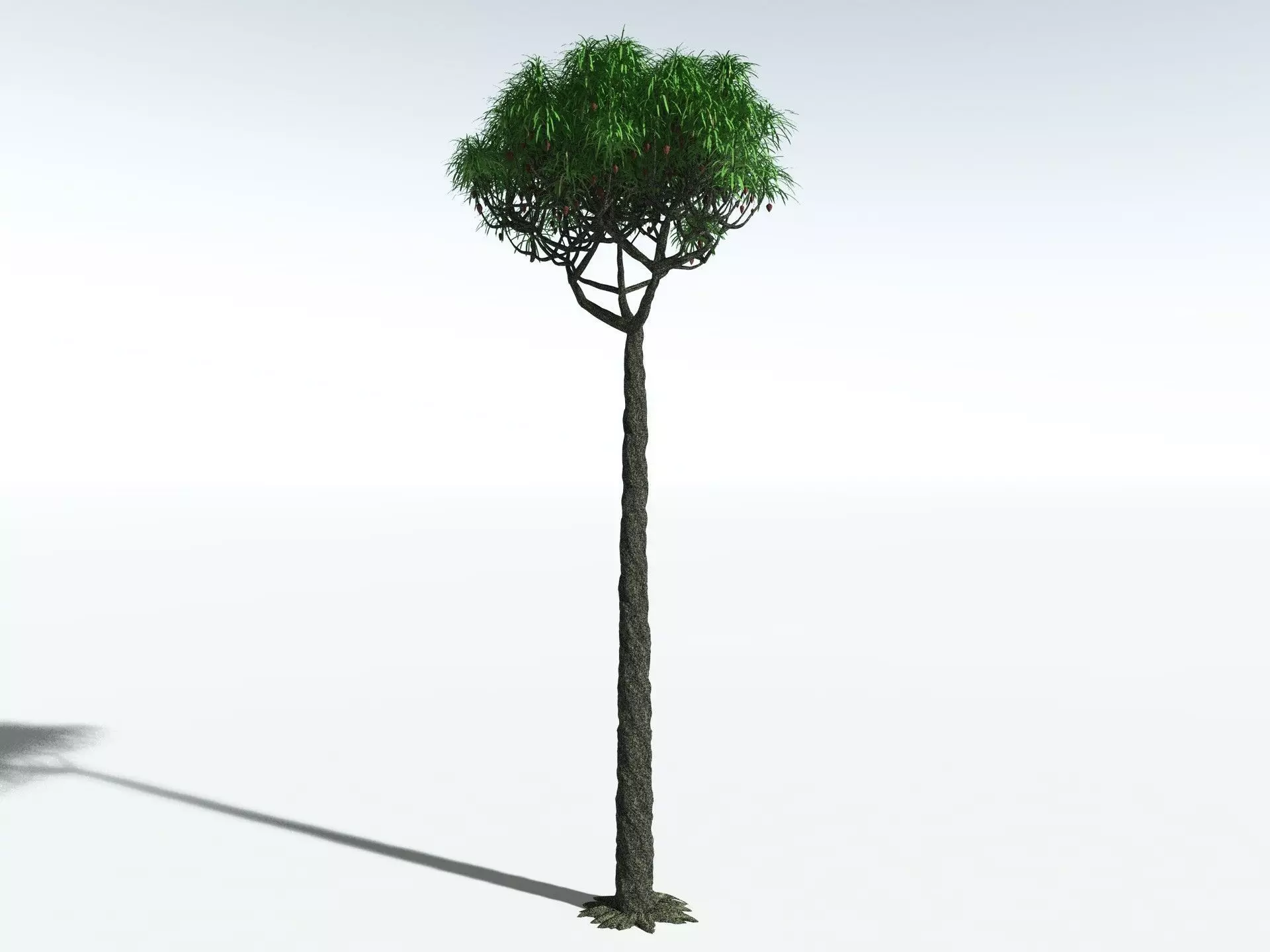 EVERYPlant Lepidodendron Aculeatum 3D model_2