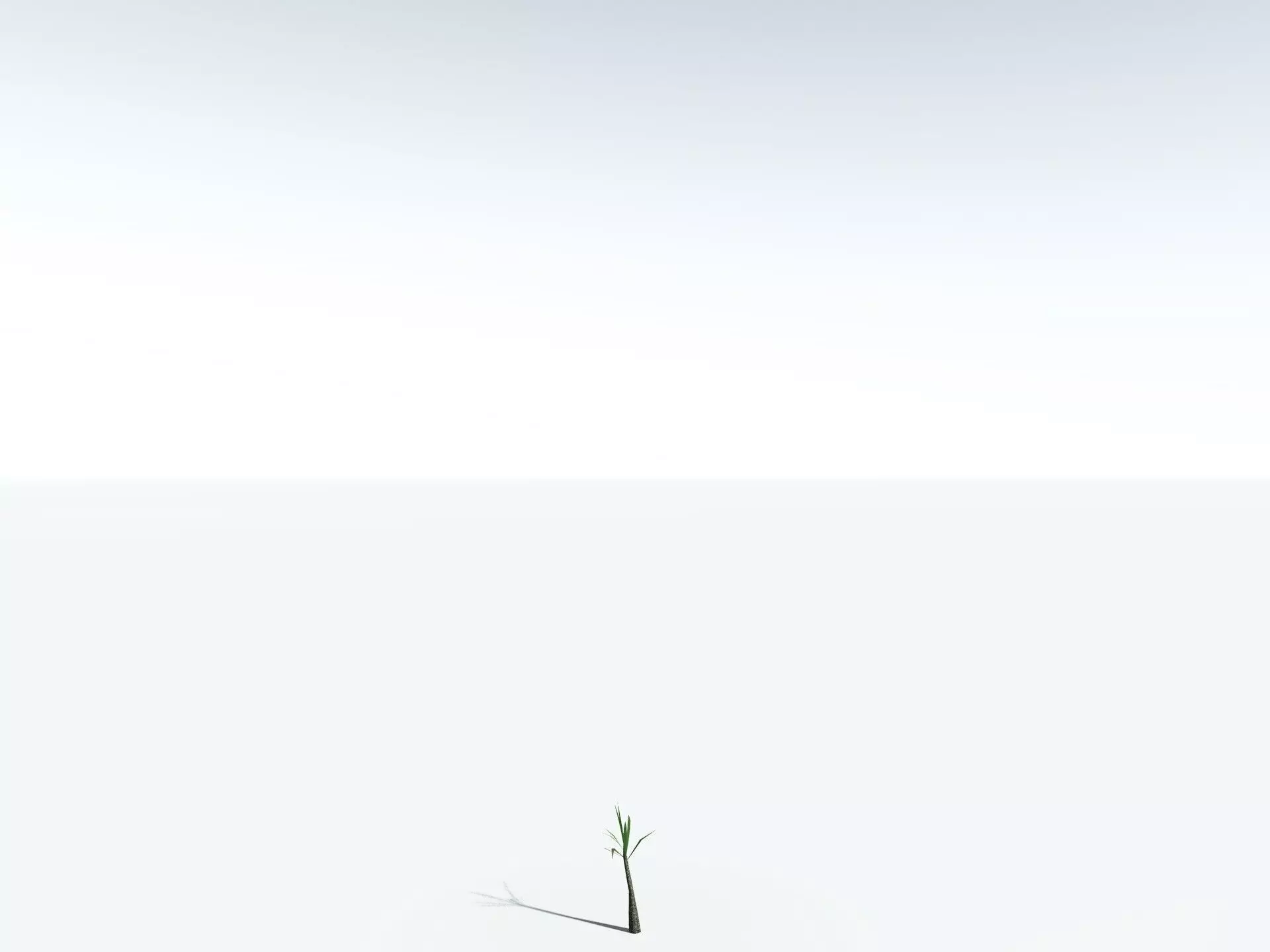 EVERYPlant Lepidodendron Aculeatum 3D model_31