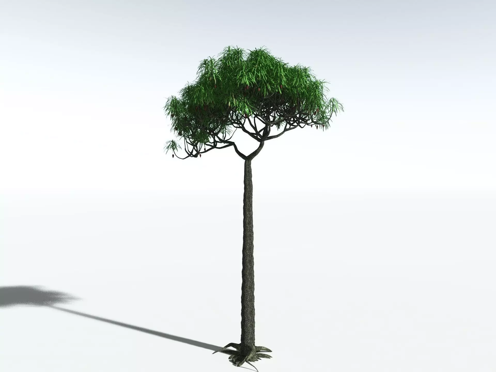 EVERYPlant Lepidodendron Aculeatum 3D model_0
