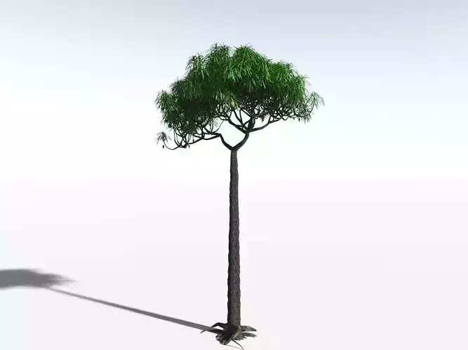 EVERYPlant Lepidodendron Aculeatum -16 Models- 3D model