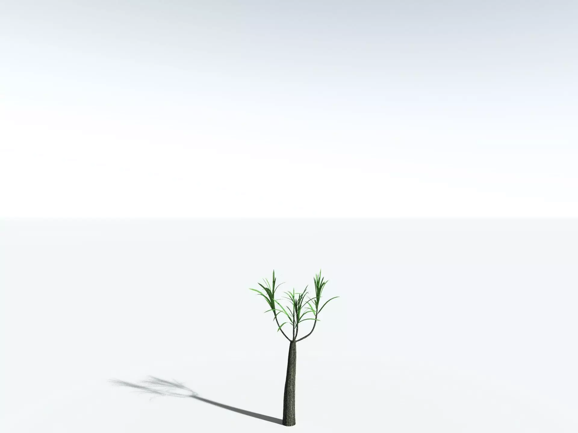 EVERYPlant Lepidodendron Aculeatum 3D model_29