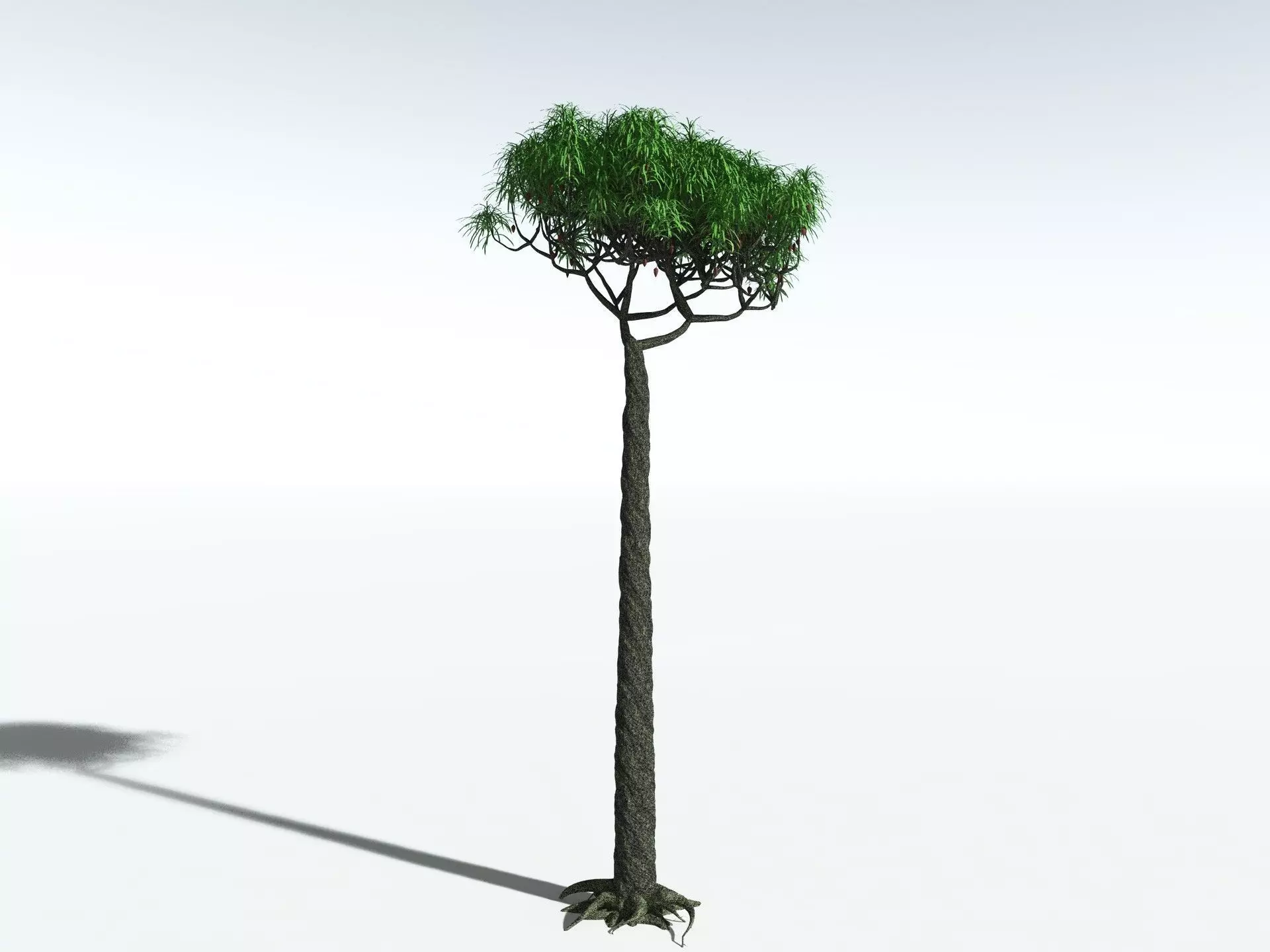 EVERYPlant Lepidodendron Aculeatum 3D model_6