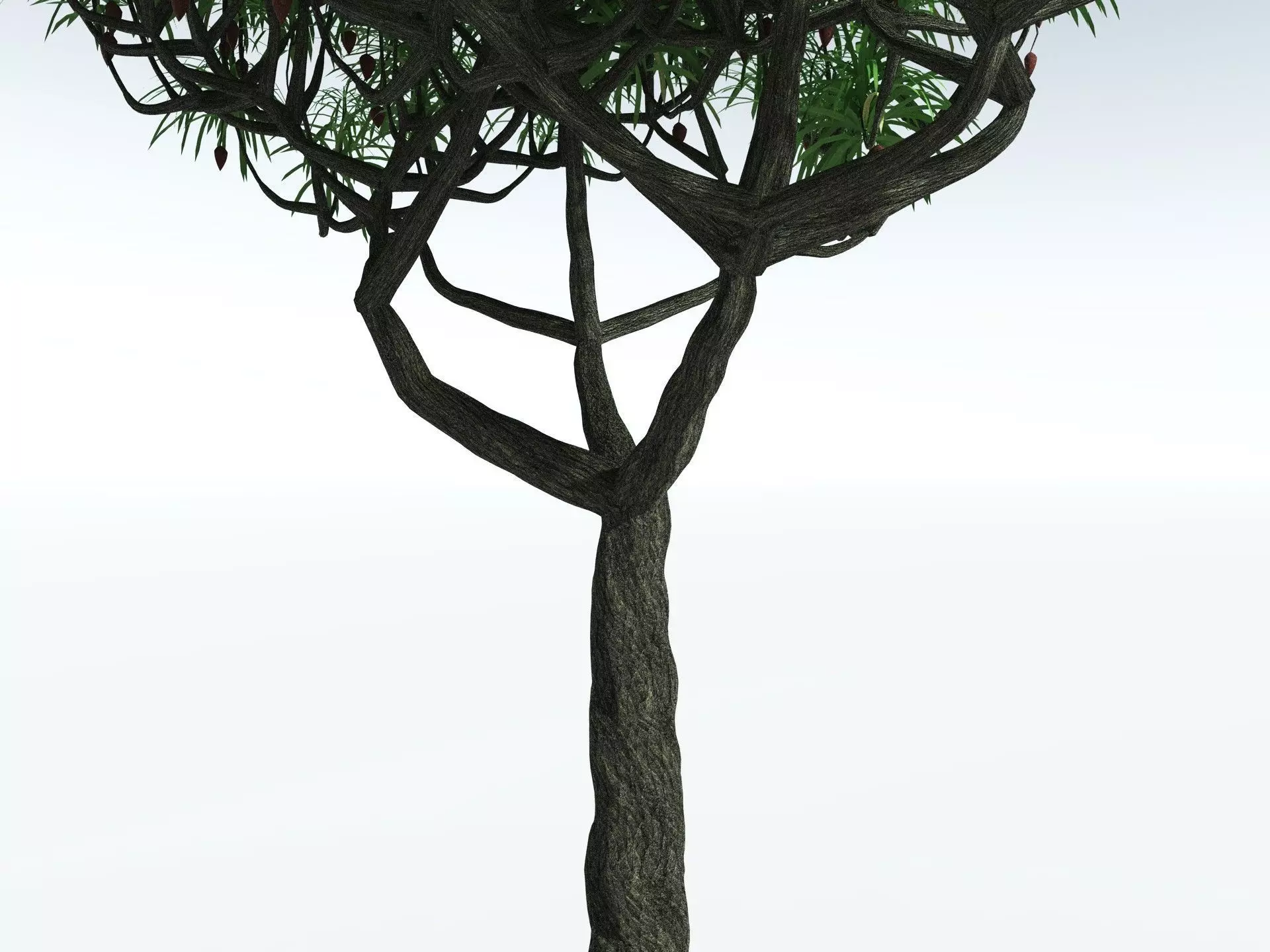 EVERYPlant Lepidodendron Aculeatum 3D model_3