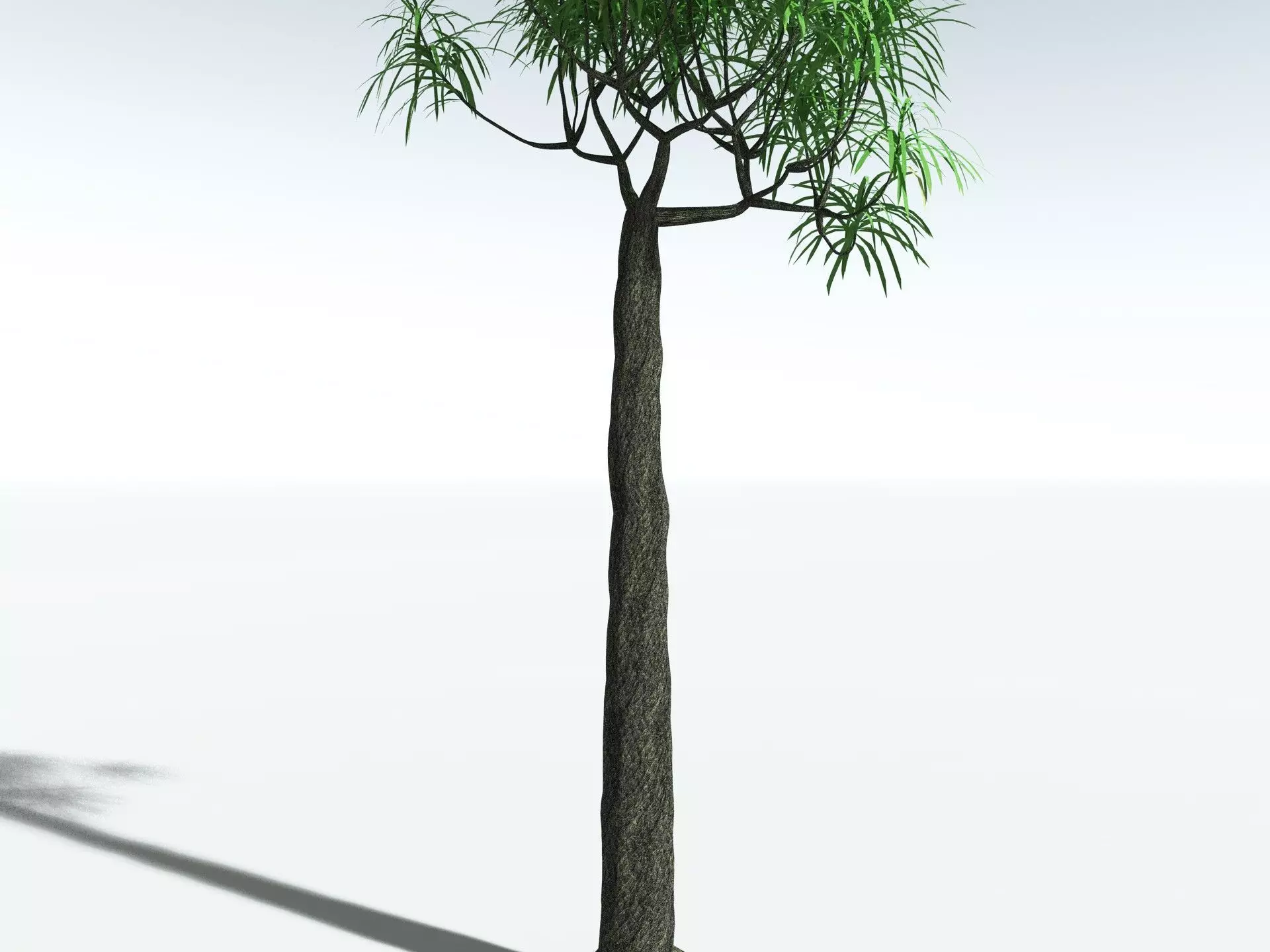 EVERYPlant Lepidodendron Aculeatum 3D model_25