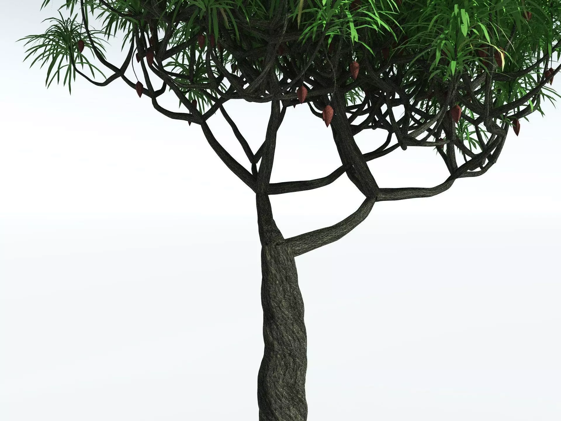 EVERYPlant Lepidodendron Aculeatum 3D model_7