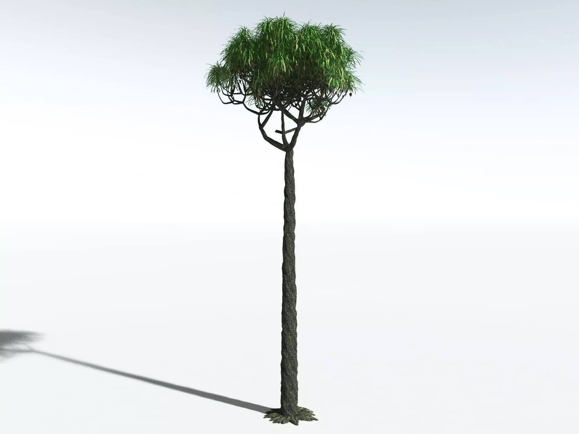 EVERYPlant Lepidodendron Aculeatum 3D model_12
