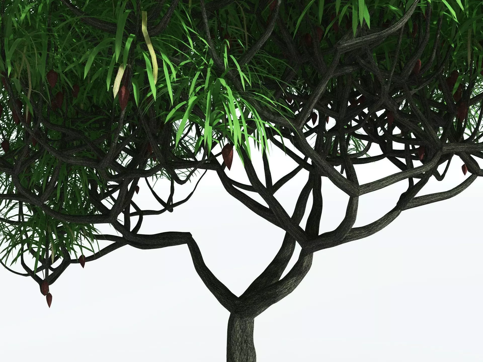 EVERYPlant Lepidodendron Aculeatum 3D model_1