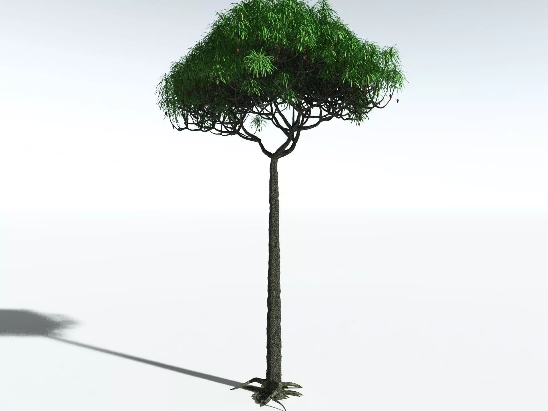 EVERYPlant Lepidodendron Aculeatum 3D model_20