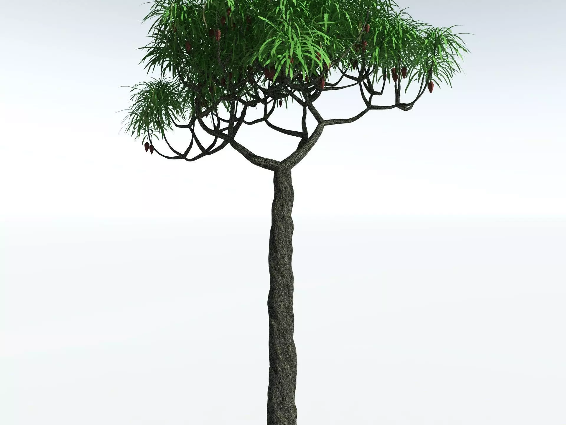 EVERYPlant Lepidodendron Aculeatum 3D model_23