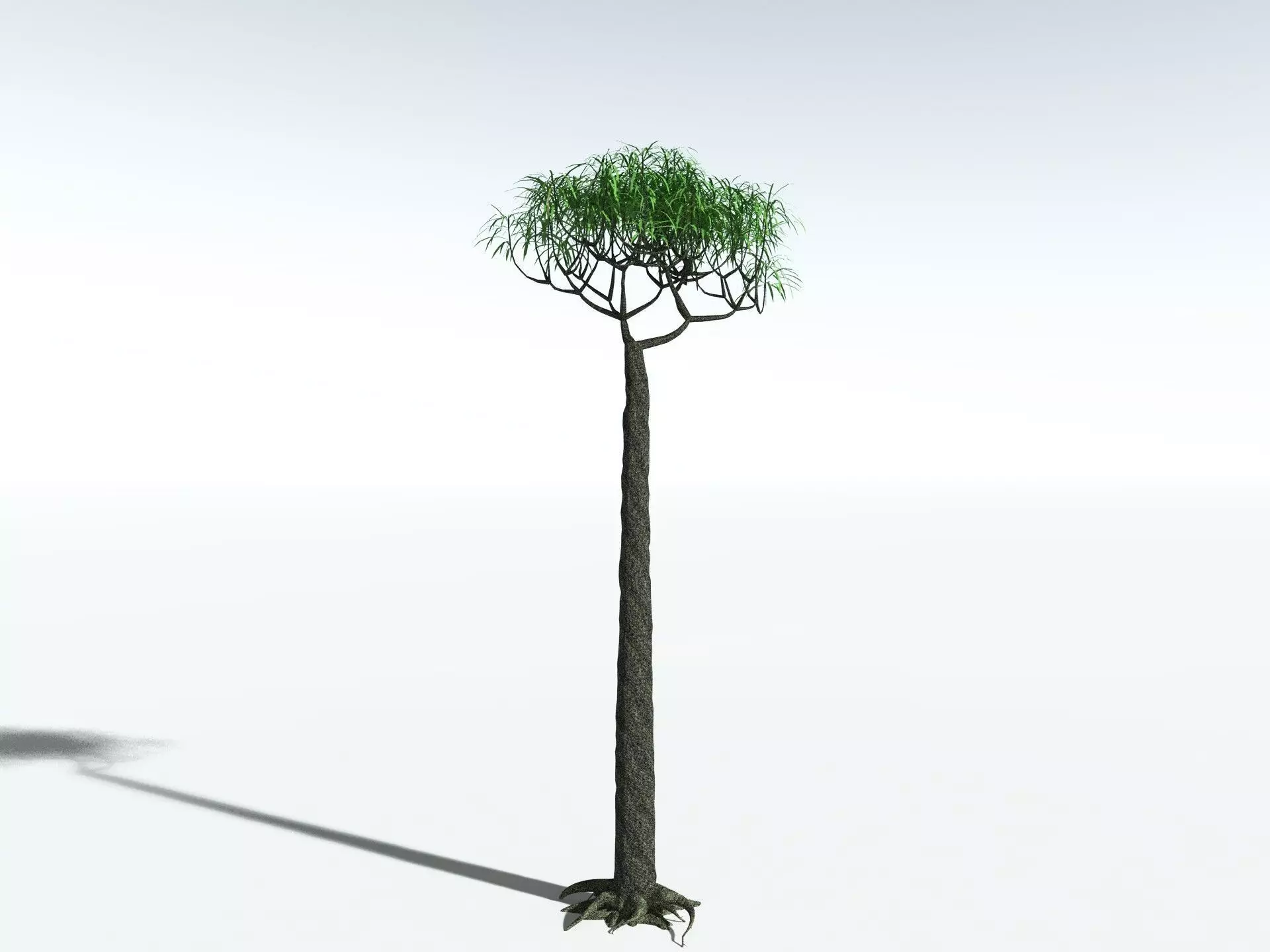 EVERYPlant Lepidodendron Aculeatum LowPoly Low-poly 3D model_6