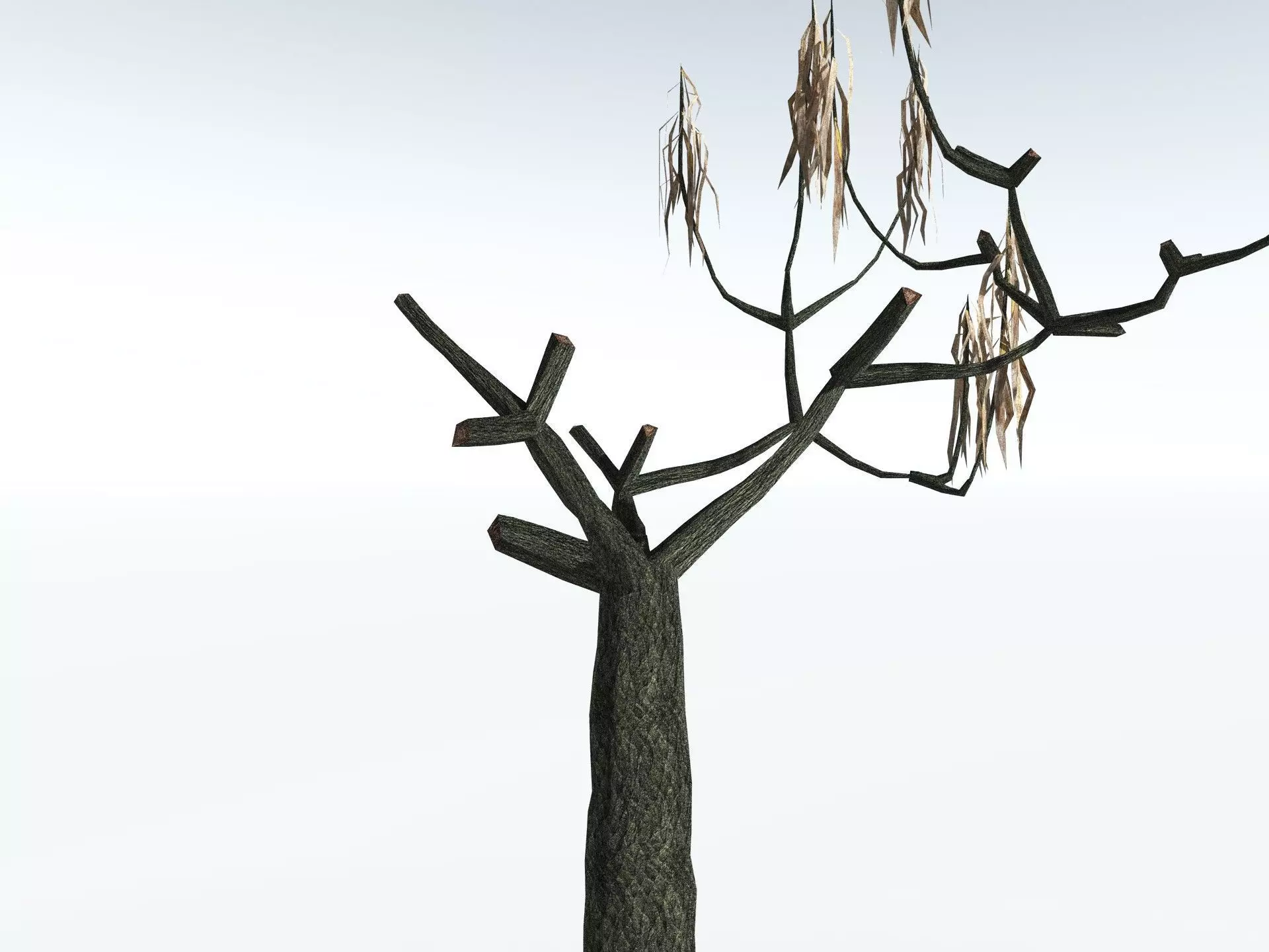 EVERYPlant Lepidodendron Aculeatum LowPoly Low-poly 3D model_19