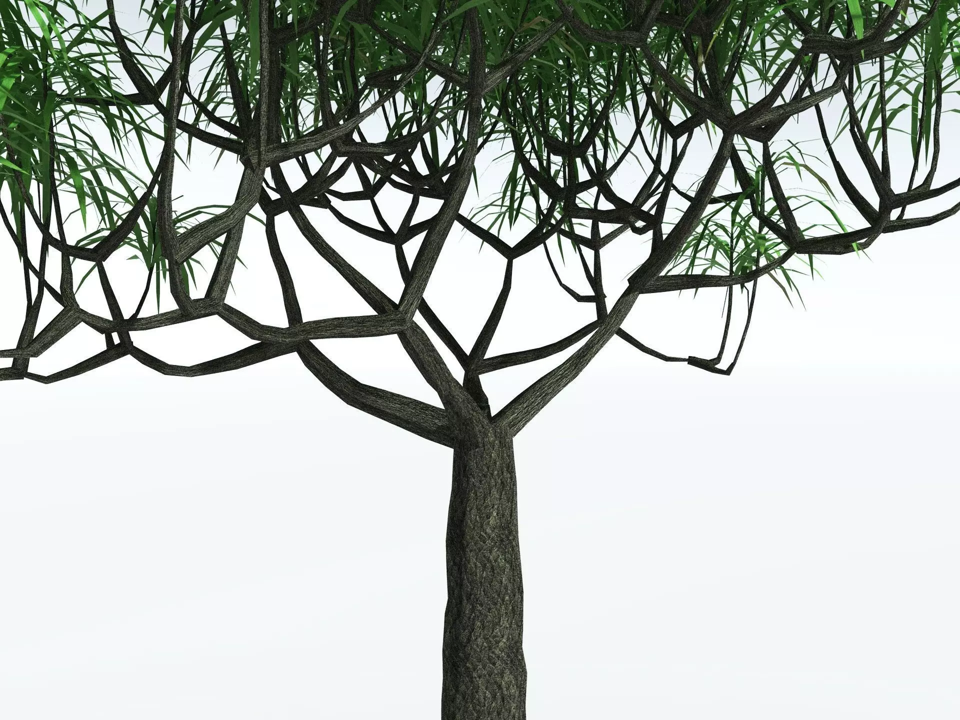 EVERYPlant Lepidodendron Aculeatum LowPoly Low-poly 3D model_9