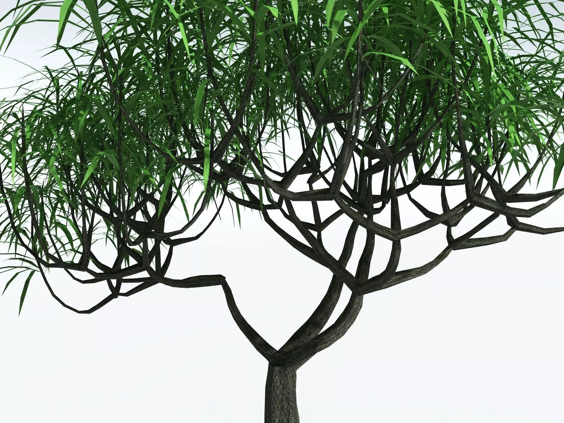 EVERYPlant Lepidodendron Aculeatum LowPoly Low-poly 3D model_11