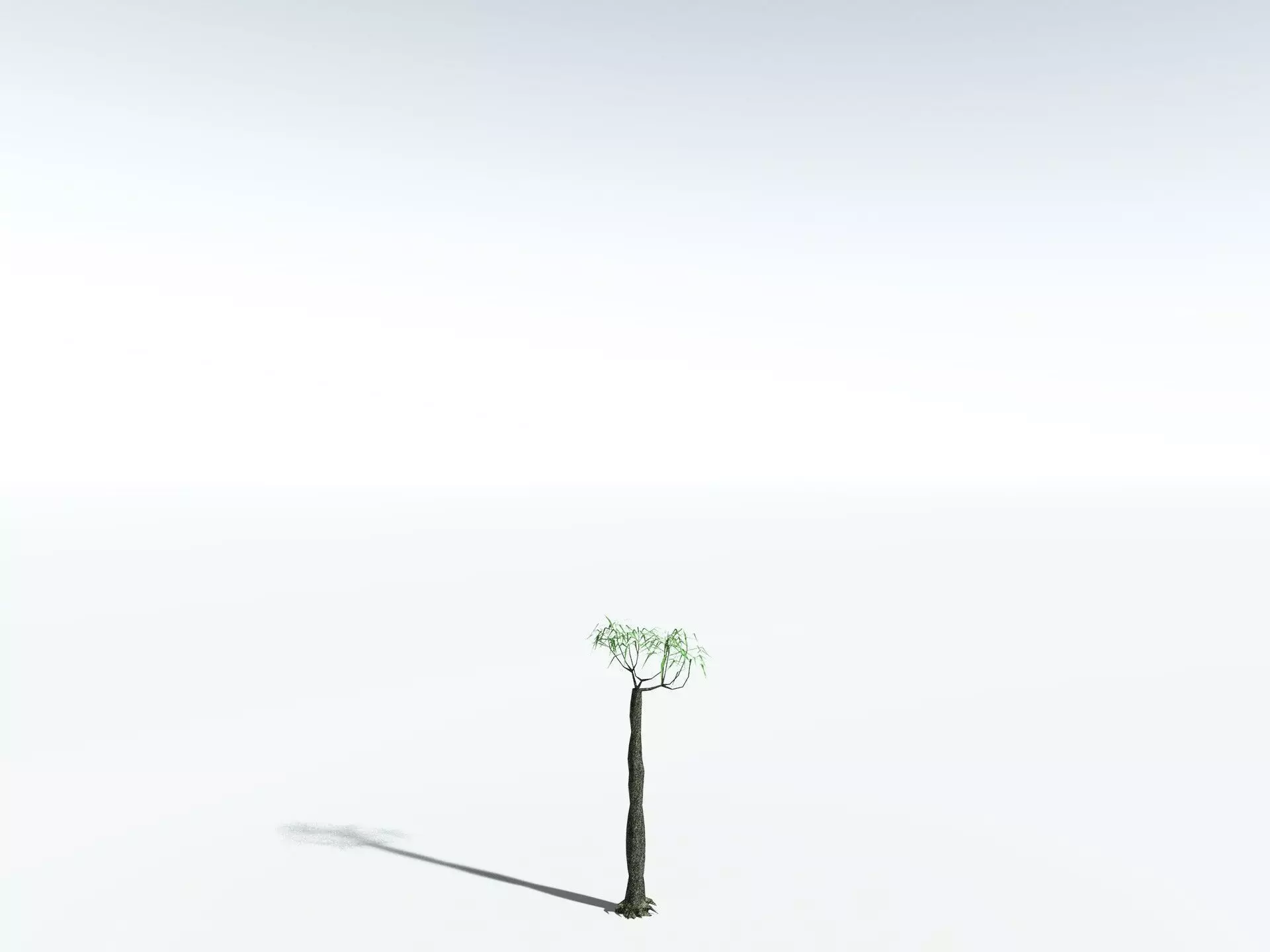 EVERYPlant Lepidodendron Aculeatum LowPoly Low-poly 3D model_24