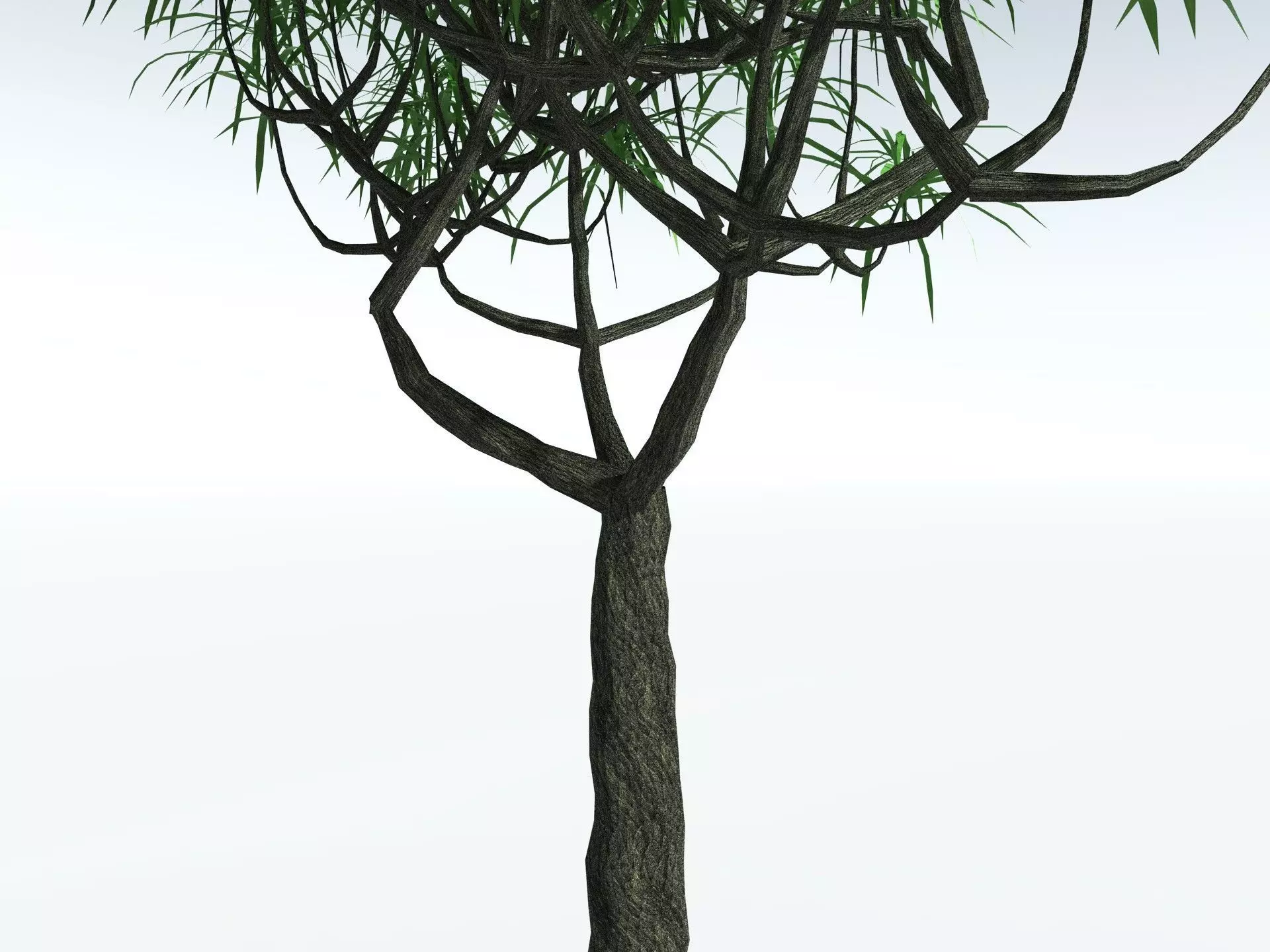 EVERYPlant Lepidodendron Aculeatum LowPoly Low-poly 3D model_3